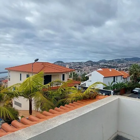 Palmeiras * Фуншал