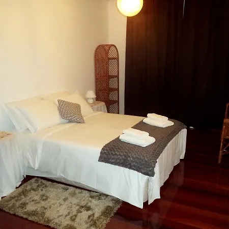 Palmeiras * Funchal (Madeira)