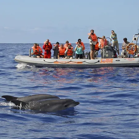 Palmeiras Σπίτι διακοπών *