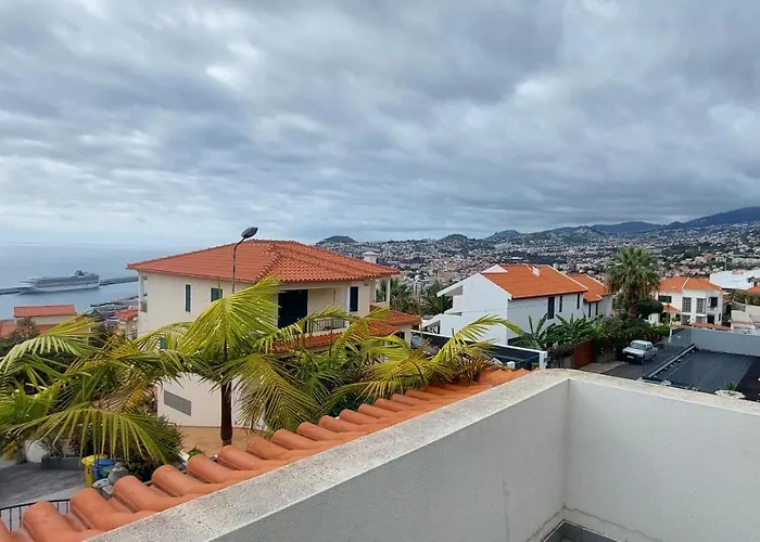 Palmeiras * Funchal (Madeira)