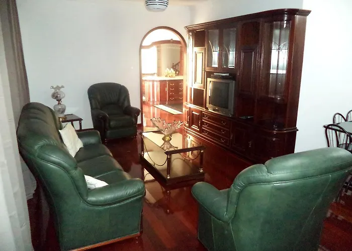 Palmeiras Funchal (Madeira)