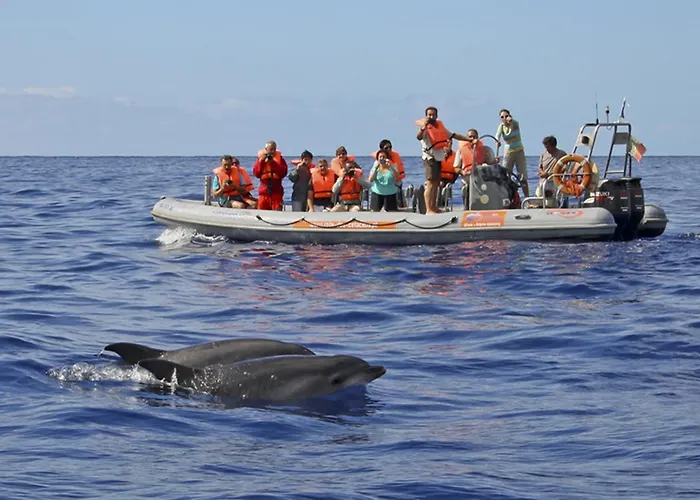 Palmeiras Casa de Férias *